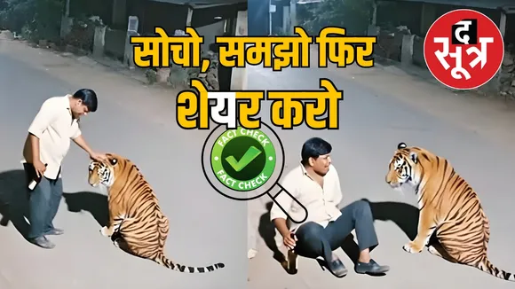 pench-tiger-reserve-bagh-viral-video