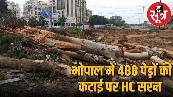 mp highcourt decision