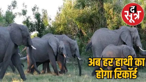 elephant-service-record