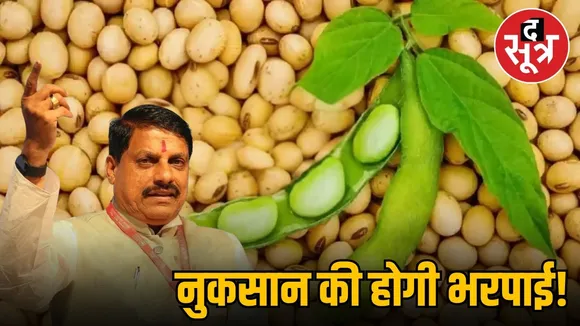 bhavantar yojana (2)