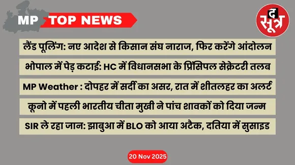 mp top news 20 november