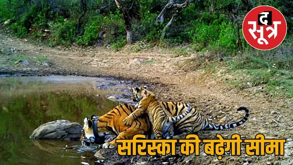 sariska
