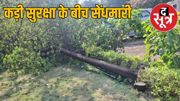 madhya-pradesh-assembly-chandan-tree-cut