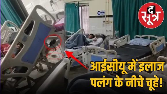 jabalpur-district-hospital-mice-viral-video