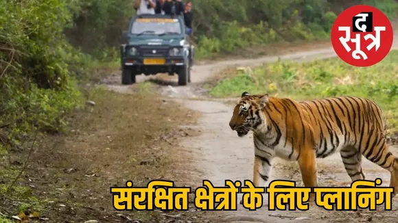 mp tiger reserve