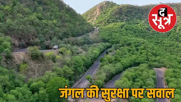 sariska tiger reaserv