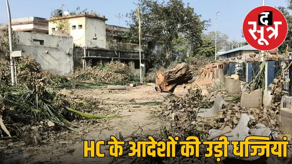 highcourt-building-trees-cut