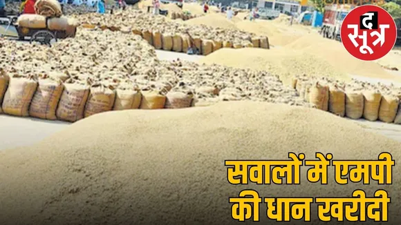 Irregularities in purchasing paddy on MSP in MP