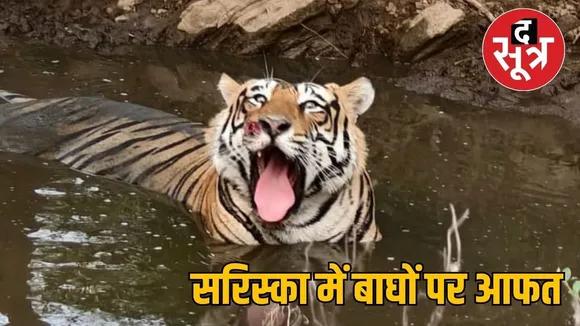 sariska
