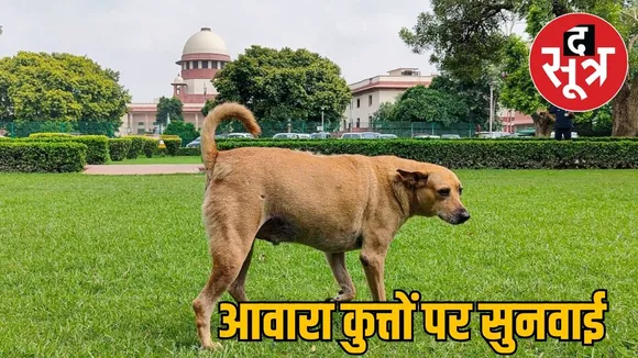 dog news in suprem court