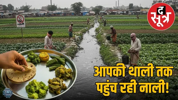 sewage water poisonous vegetables mp jabalpur report