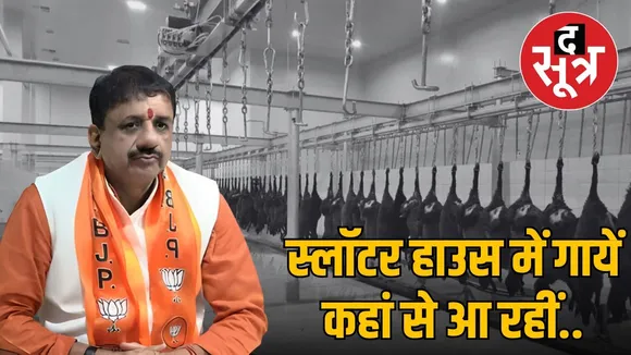 slaughter-house-beef- case-slow-investigation