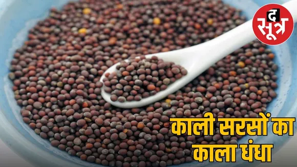 Government and traders defrauded lakhs of rupees due to fake mustard