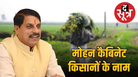 mohan cabinet farmer bonus urad mustard bhavantar  scheme