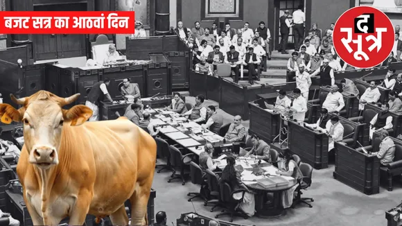 mp assembly budget session stray cattle fire safety issues bhopal