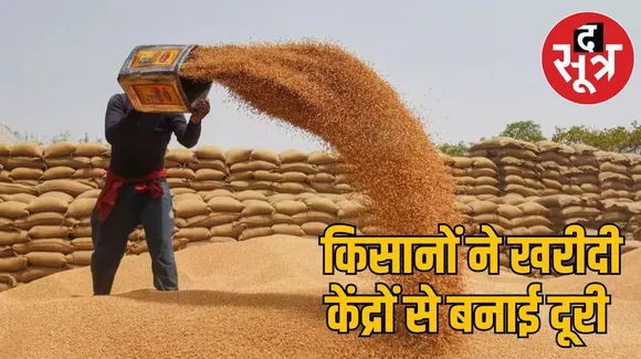 MSP पर गेहूं खरीदी 