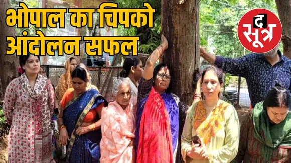 अब नहीं कटेंगे 29 हजार पेड़