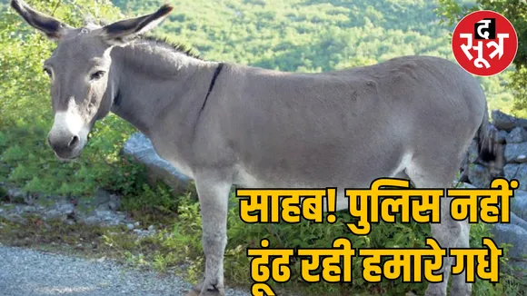 mp-burhanpur-public-hearing-case-donkey-theft