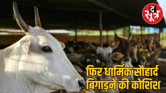 MP Seoni 50 cows slitting their throats murder case 
