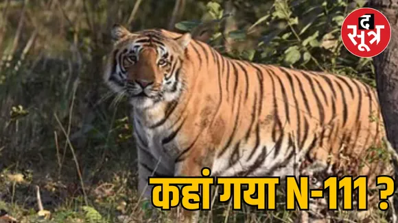  MP Bhopal Rani Durgavati Tiger Reserve tiger Missing Case