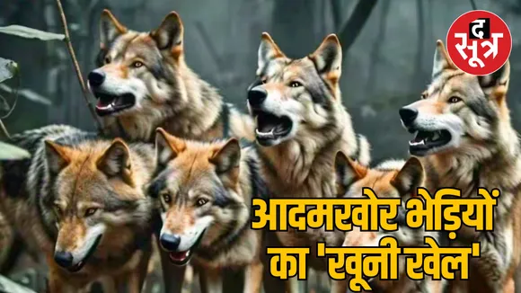 UP Bahraich terror of maneating wolf
