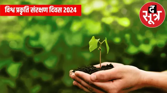 STYLESHEET THESOOTR - 2024-07-27T235001.706