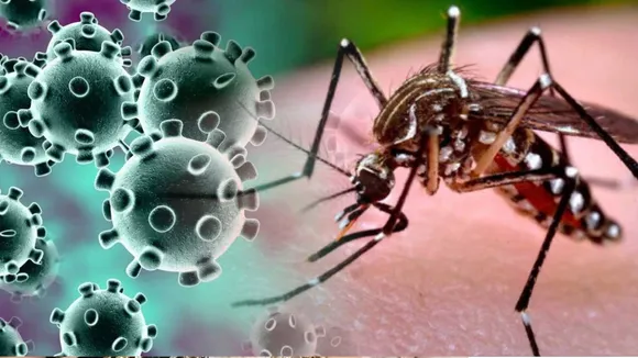 National Dengue Day 
