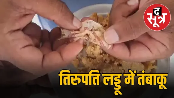 तिरुपति लड्डू में तंबाकू