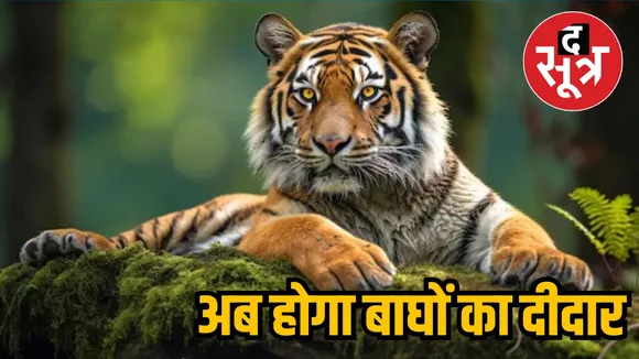 Tiger Darshan Tourist