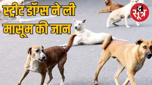 MP Khargone 2 year old girl dies dog attack