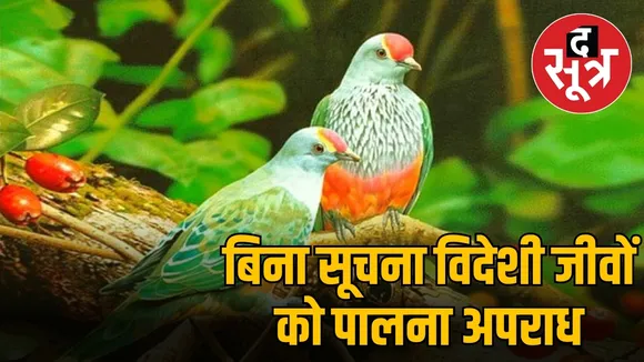 बिना सूचना विदेशी जीवों को पालना अपराध