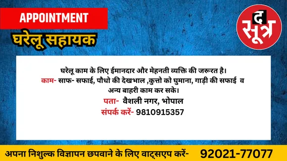 घरेलू सहायक