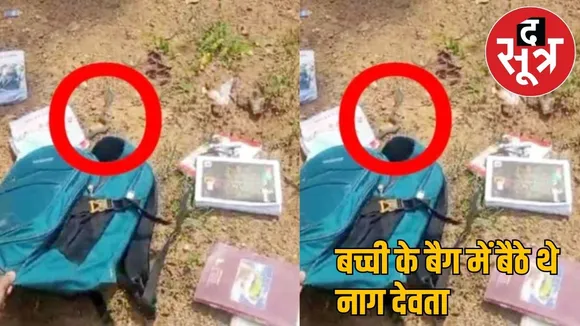5th class student had snake in her bag in atmanand school