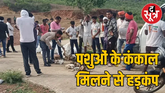 MP Jabalpur administration investigation report animal skeleton case