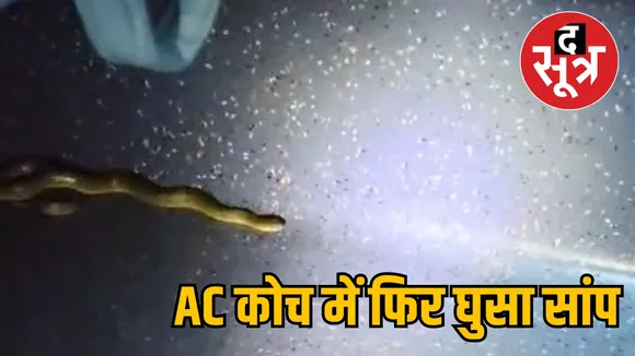 Snake entered AC coach