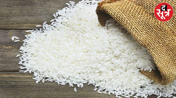 Rice