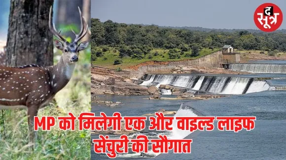 केन-बेतवा लिंक प्रोजेक्ट की डूब से वाइल्ड लाइफ को बचाएगी बुंदेलखंड की नई सेंचुरी, प्रपोजल को कैबिनेट की मुहर का इंतजार
