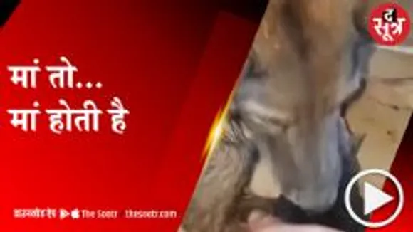 VIRAL: अपने बच्चे को बचाने मां की जद्दोजहद
