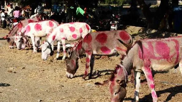 ऐसा भी होता है: 34 हजार में कहा बिक गए 'कंगना-आर्यन', 11 हजार में बिका 'वैक्सीन'