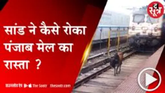 BINA: जब सांड ने ट्रैक पर लगाई ट्रेन से रेस, देखें वीडियो  