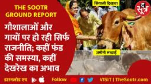 गायों और गौशालाओं पर सिर्फ राजनीति, कहीं फंड की समस्या, कहीं देखरेख का अभाव