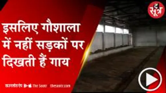 RAJGADH: गौशाला के नाम पर फर्जीवाड़ा, दो गायों के नाम विभाग ने जारी कर दी राशि