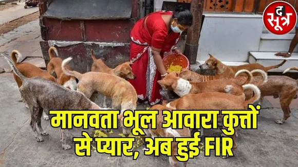मध्यप्रदेश में पहली बार 5 डॉग लवर्स पर FIR, जानें कौन-कौन से लगाए गए हैं आरोप, सीएम ने कहा था इस तरह की घटना दोबारा न हो
