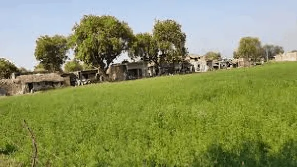 खेती के कुछ उपाय: जुताई के तरीके जिससे जमीन रहेगी उर्वरक और खर्च भी होगा कम
