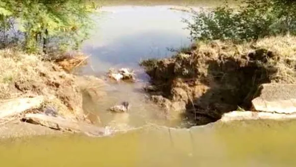 सागर: 6 साल पहले 11Cr में बनी नहर टूटी, 50 एकड़ खेत डूबे, लाखों की फसल खराब