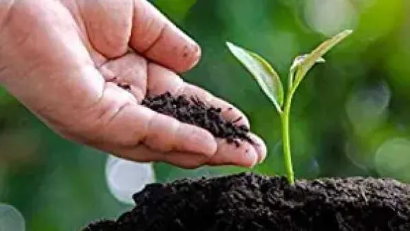 ऑनलाइन मिलेगी खाद: कृषि से जुड़े 8 हजार उत्पाद ऑनलाइन, सोशल मीडिया पर उठे सवाल