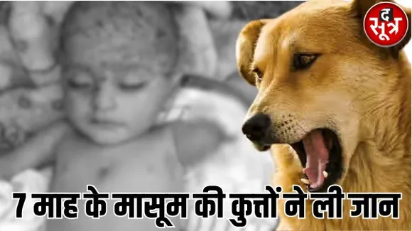 अयोध्या नगर में 7 महीने के मासूम को कुत्तों ने नोंच-नोंचकर मार डाला, एक हाथ भी खा गए, लोगों का घरों से निकलना हुआ मुश्किल