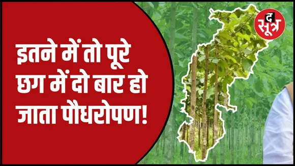 फॉरेस्ट सर्वे ऑफ इंडिया की रिपोर्ट ने खोली पोल