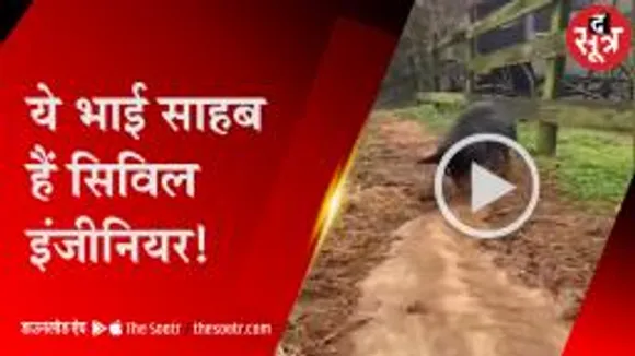 एक्टिंग के मामले में सबका 'बाप'  है यह डॉगी  