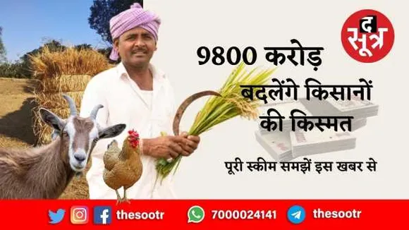 राष्ट्रीय पशुधन मिशन: 5 साल में 9800 करोड़ खर्च करेगी सरकार, जानें क्या है प्लान 



